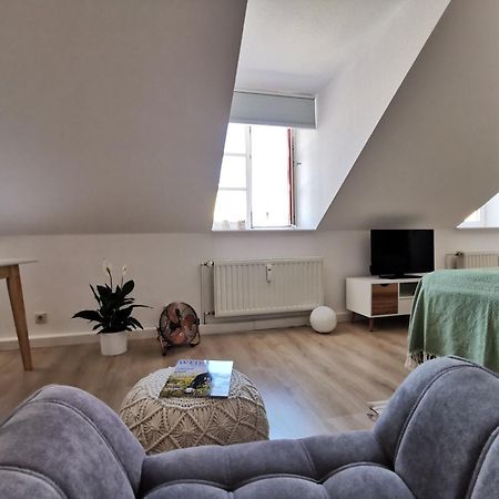 Fynbos Apartments In Der Altstadt, Frauenkirche, Historisch, Parkplatz Meißen Εξωτερικό φωτογραφία