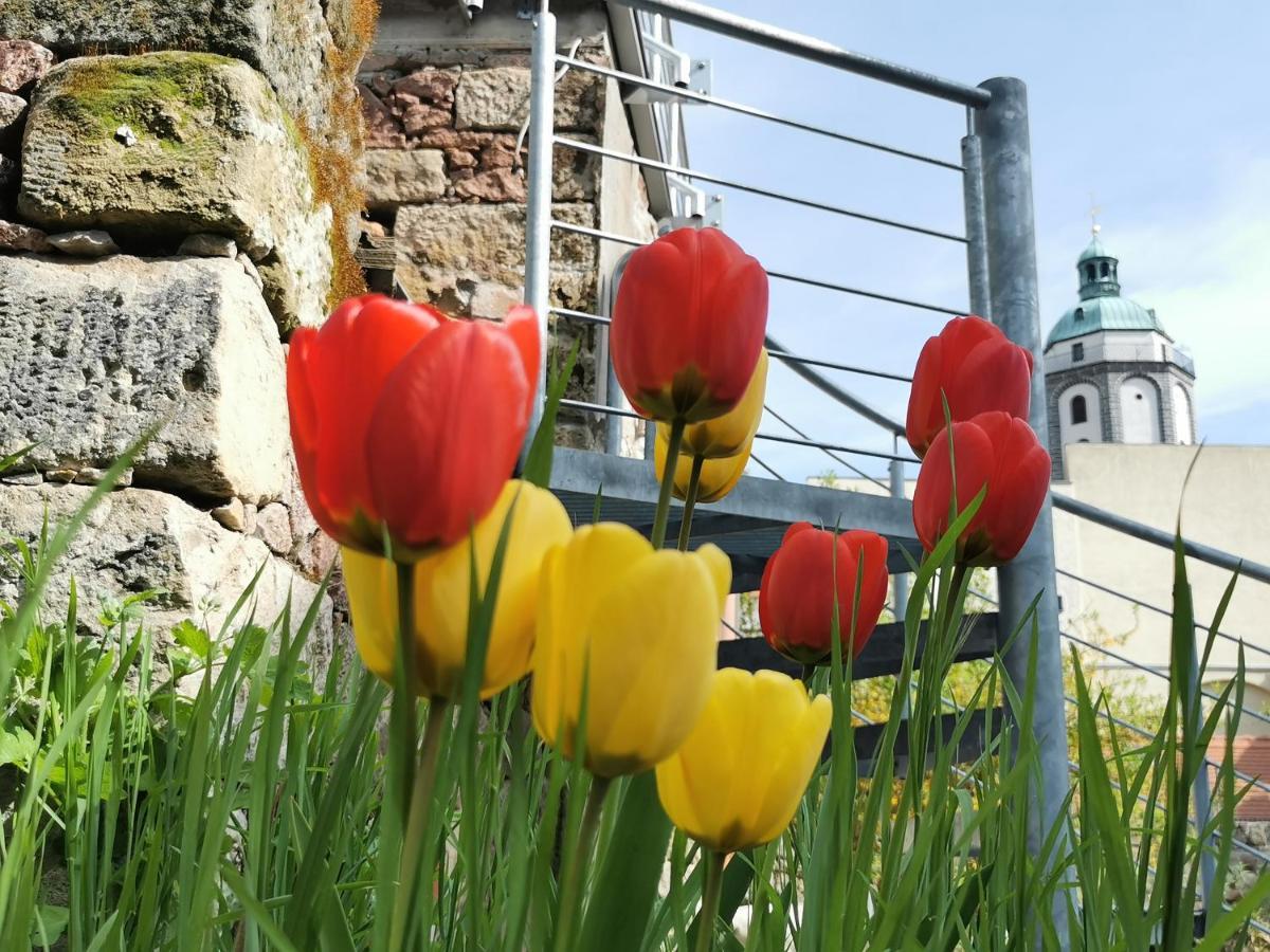Fynbos Apartments In Der Altstadt, Frauenkirche, Historisch, Parkplatz Meißen Εξωτερικό φωτογραφία