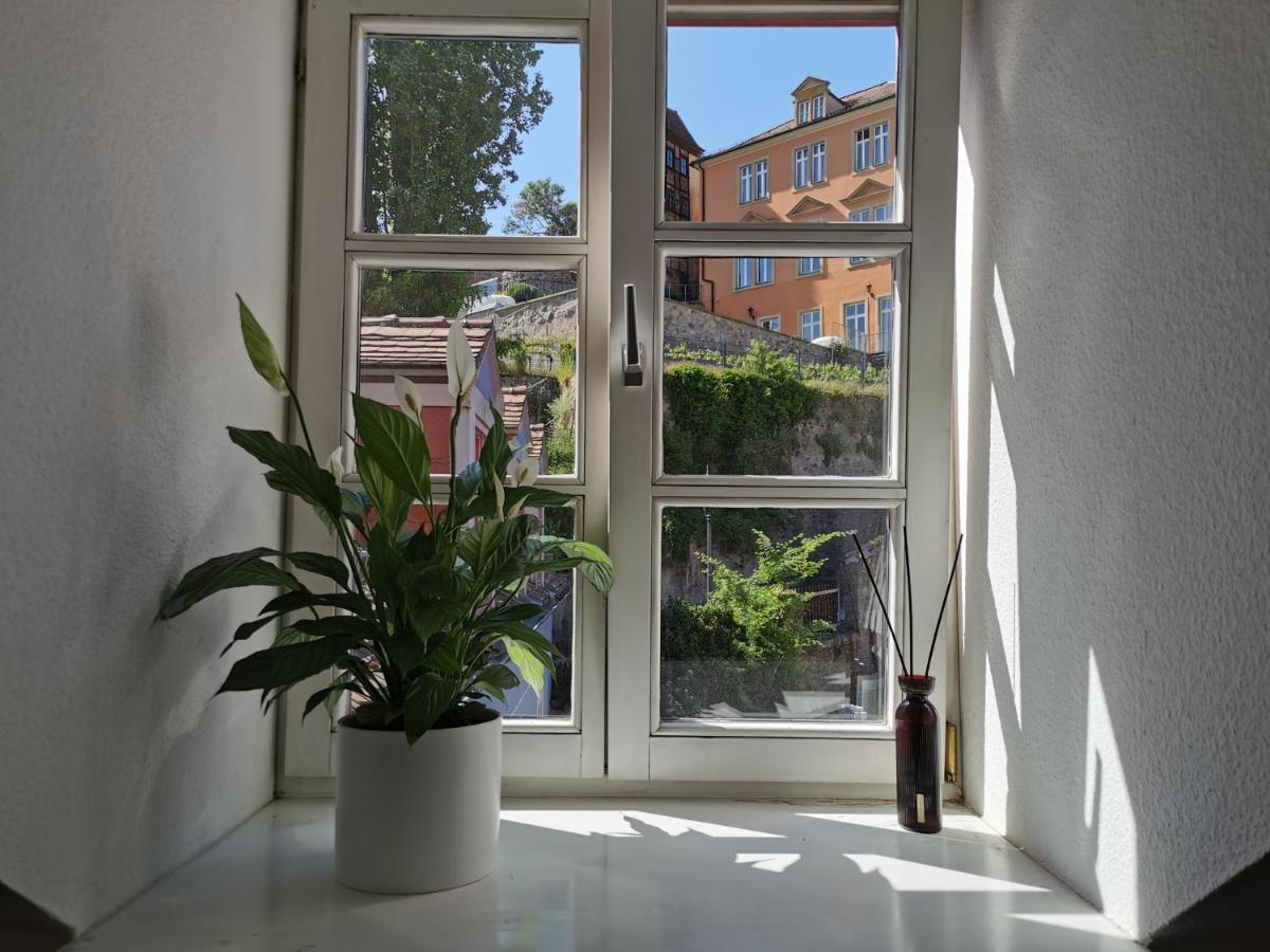 Fynbos Apartments In Der Altstadt, Frauenkirche, Historisch, Parkplatz Meißen Εξωτερικό φωτογραφία