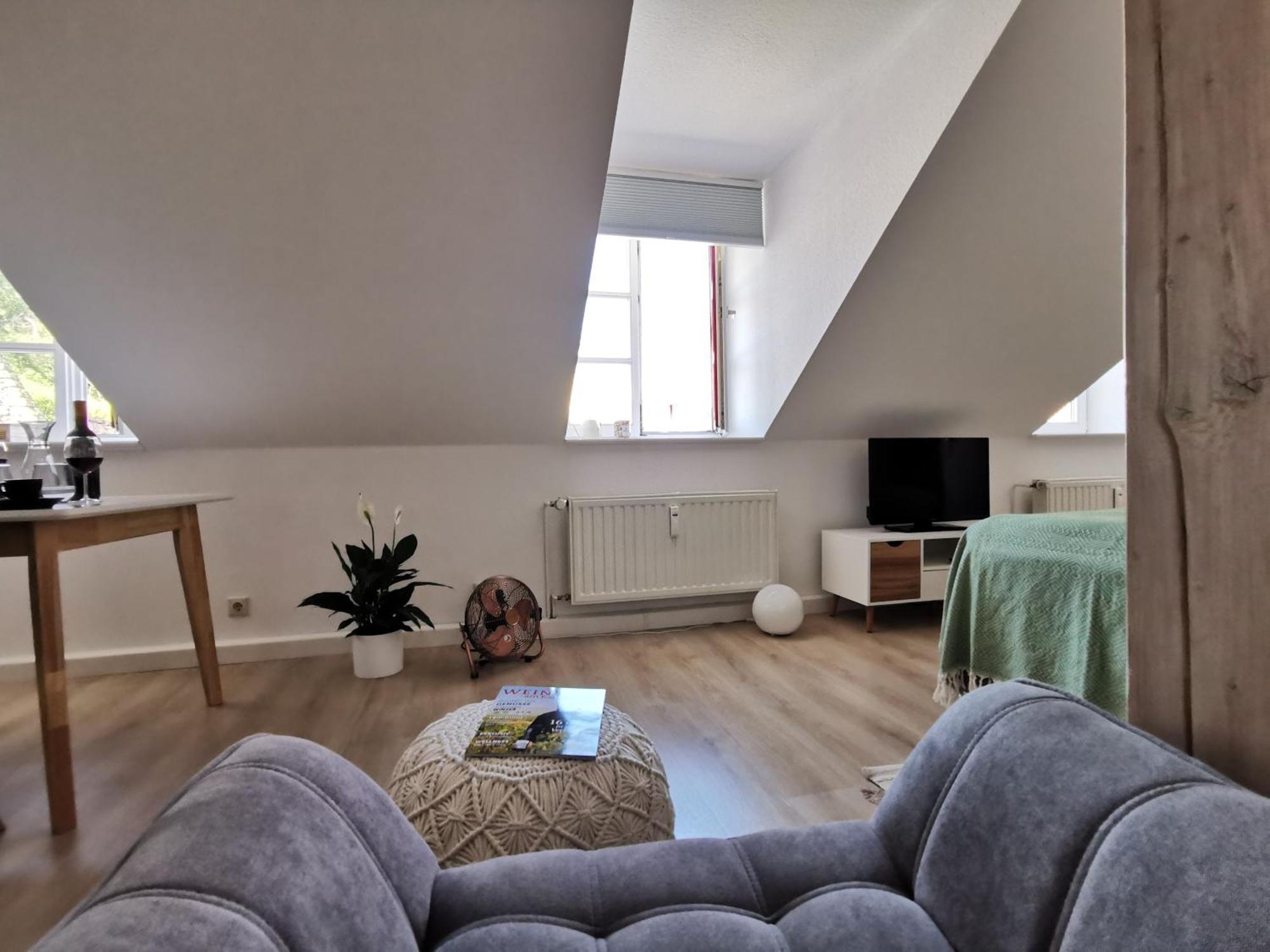 Fynbos Apartments In Der Altstadt, Frauenkirche, Historisch, Parkplatz Meißen Εξωτερικό φωτογραφία